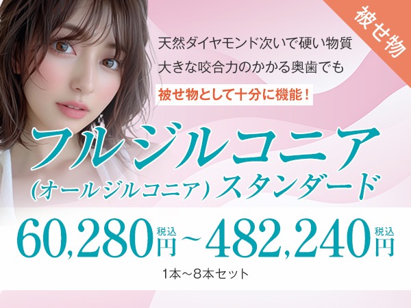 フルジルコニアスタンダード